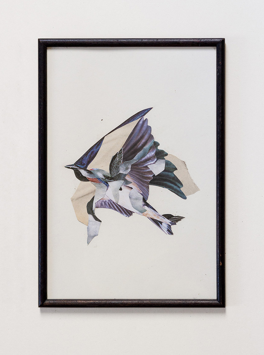 zwei Vögel - abstrakte und moderne Collage Kunst von Markus Wülbern